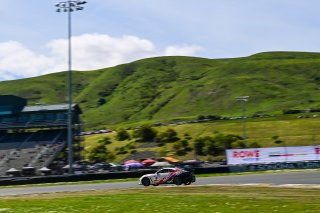 #10 Toyota GR86 of PJM / VGRT, driven by Mark Pombo, Toyota Gazoo Racing GR Cup of North America SRO America, Sonoma Raceway, Sonoma California, April 2023
 | ©Copyright: Frederick Hardy II 2023

All rights reserved. No Usage Without Permission