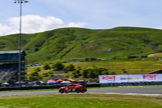#30 Toyota GR86 of Zotz Racing, driven by Alex Garcia, Toyota Gazoo Racing GR Cup of North America SRO America, Sonoma Raceway, Sonoma California, April 2023
 | ©Copyright: Frederick Hardy II 2023

All rights reserved. No Usage Without Permission