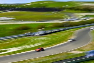 #28 Toyota GR86 of McCumbee McAleer Racing, driven by Justin Piscitelli, Toyota Gazoo Racing GR Cup of North America SRO America, Sonoma Raceway, Sonoma California, April 2023
 | ©Copyright: Frederick Hardy II 2023

All rights reserved. No Usage Without Permission