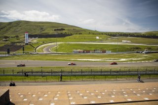 GR Cup Official Qualifying and Race 1 Day at Sonoma on April 2, 2023.

Photos By
&mdash;Swikar Patel/TRD | Swikar Patel/TRD