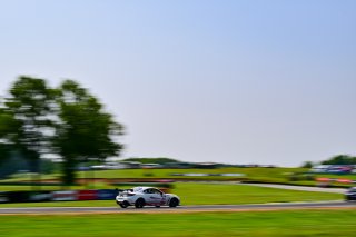 #80 Toyota GR86 of Nitro Motorsports, driven by Tyler Wettengel, Toyota Gazoo Racing GR Cup of North America SRO America, Virginia International Raceway, Alton, Virginia, June 2023
 | ©Copyright: Frederick Hardy II / SRO 2023/  

All rights reserved. No Usage Without Permission