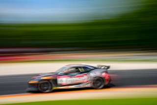 #6 Toyota GR86 of Godwin Motorsports, Will Rodgers, Toyota Gazoo Racing GR Cup of North America Road America, Aug. 17-20 2023 SRO
 | ©Copyright: Frederick Hardy II 2023

All rights reserved. No Usage Without Permission