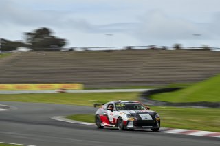 #17 Toyota GR86 of Miles Hewitt, van der Steur Racing, Toyota GR Cup North America, SRO America, Sonoma Raceway, Sonoma, CA March 28-30, 2025
 | Fred Hardy | www.FredHardyPhoto.com for SRO ©2025