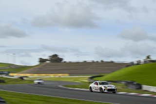 #73 Toyota GR86 of Mike Lamarra, Precision Racing LA, Toyota GR Cup North America, SRO America, Sonoma Raceway, Sonoma, CA March 28-30, 2025
 | Fred Hardy | www.FredHardyPhoto.com for SRO ©2025