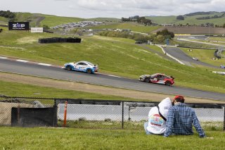 The    in Sonoma, California on Saturday, March 29, 2025.

, Round 1 - R1 
7, Jaxon Bell, BRAUNABILITY, Copeland Motorsports, Toyota GR86, 17, Miles Hewitt, MPH Racing Team, van der Steur Racing

Photo by
— Zachary Cramer/ TGR | SRO Motorsports Group