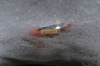 The    in Sonoma, California on Sunday, March 30, 2025.

, Qualifying - Q2 
continetal

Photo by
— Zachary Cramer/ TGR | SRO Motorsports Group