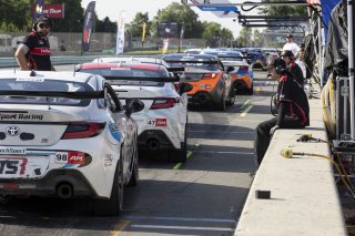 The Toyota GR Cup Road America Practice - P1 in Plymouth, Wisconsin on Sunday, Aug. 17, 2025.

TechSport Racing


Photo by
&mdash; Zack Cramer / TGRNA | SRO Motorsports Group
