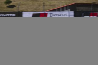 #51 Toyota GR86 of Massimo Sunseri, BSI Racing, GR Cup, Am, SRO America, Sonoma Raceway, Sonoma, CA, Mar 27 - 29, 2026
 | Fred Hardy | www.echoandorigin.studio &copy;2026