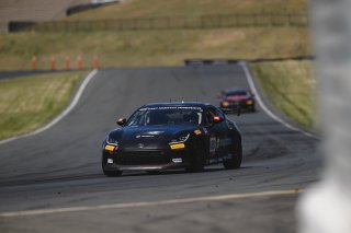 #80 Toyota GR86 of Paityn Feyen, Copeland Motorsports, GR Cup, Am, SRO America, Sonoma Raceway, Sonoma, CA, Mar 27 - 29, 2026
 | Fred Hardy | www.echoandorigin.studio &copy;2026