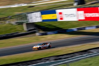 Sonoma, Sonoma Raceway, 42, Parker DeLong, TechSport Racing, Toyota GR86, Soundgear, JA, Toyota GR Cup, Practice - P2, California, GRCup, Practice
 | SRO Motorsports Group