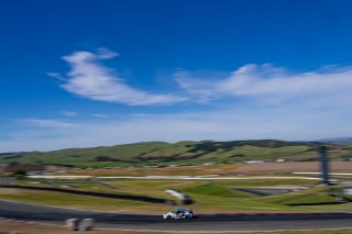 Sonoma, Sonoma Raceway, 17, Malbec Ramos, TechSport Racing, Toyota GR86, JA, Toyota GR Cup, Practice - P2, California, GRCup, Practice
 | SRO Motorsports Group