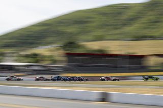 #55 Toyota GR86 of Liam Harrison, Blackdog Racing, GR Cup, Am, SRO America, Sonoma Raceway, Sonoma, CA, Mar 27 - 29, 2026
 | Fred Hardy | www.echoandorigin.studio &copy;2026