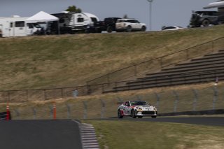 #812 Toyota GR86 of Maite Caceres, RAFA Racing Team, GR Cup, Am, SRO America, Sonoma Raceway, Sonoma, CA, Mar 27 - 29, 2026
 | Fred Hardy | www.echoandorigin.studio &copy;2026