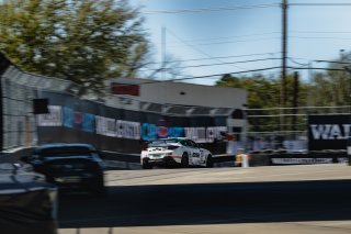 #51 Toyota GR86 of Massimo Sunseri, 2026, Am, Arlington, BSI Racing, GR Cup, Mar 13 - 15, SRO America, TX
 | Fred Hardy | www.echoandorigin.studio &copy;2026