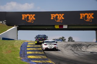 The Toyota GR Cup  Practice - P3 in Braselton, Georgia on Thursday, June 11, 2026.

Test Session, Practice - P3 
51, Massimo Sunseri, BSI Racing, Toyota GR86, Pennsylvania Macaroni Co.

Photo by
&mdash; JA | SRO Motorsports Group