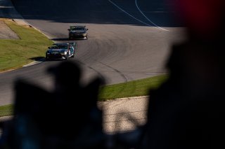 The Toyota GR Cup   in Birmingham, Alabama on Saturday, Sept. 26, 2026.

Race, Round 11 - R1 
17, Malbec Ramos, TechSport Racing, Toyota GR86, Give kids the world village

Photo by
&mdash; James Armas/ TRD | TRD EXIT10