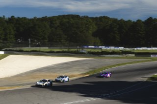 #77 Toyota GR86 of Alcyr Araujo, BSI Racing, GR Cup, Am, SRO America, Barber Motorsport Park, Leeds, AL, Sept 24 - 27, 2026
 | Fred Hardy | Echo & Origin | www.echoandorigin.studio &copy;2026