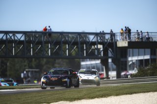 #71 Toyota GR86 of Lucas Rowell, Copeland Motorsports, GR Cup, Am, SRO America, Barber Motorsport Park, Leeds, AL, Sept 24 - 27, 2026
 | Fred Hardy | Echo & Origin | www.echoandorigin.studio &copy;2026